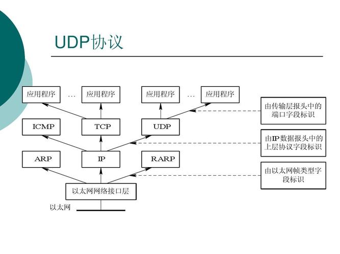 UDP分组称为什么？——探究UDP协议的特点与应用