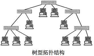 4、网络搜索网络拓扑结构，星型结构，环形结构，树型结构，总线型结构各有什么优缺点？什么是总线型