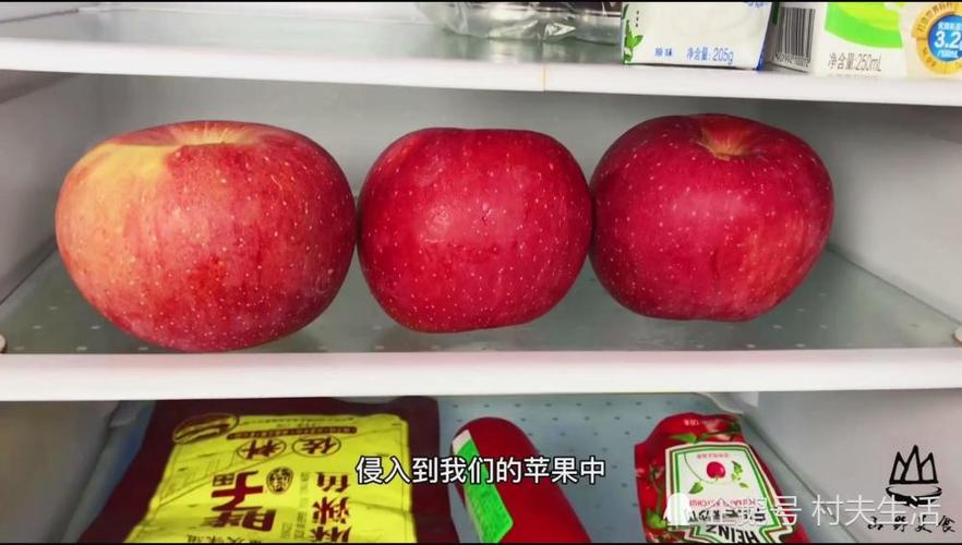 苹果可以放入冰箱存放吗？iphone放冰箱里
